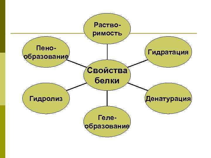 Растворимость Пенообразование Гидратация Свойства белки Гидролиз Денатурация Гелеобразование 