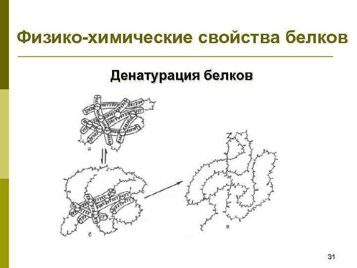 Физико химические свойства белка. Физико-химические свойства белков денатурация. Физико-химические свойства белков: ренатурация..