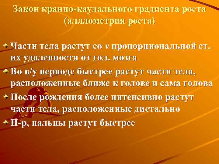 Закон кранио-каудального градиента роста (алллометрия роста) Части тела растут со v пропорциональной ст. их