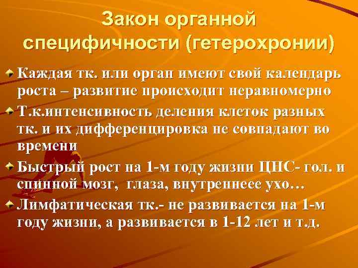 Закон органной специфичности (гетерохронии) Каждая тк. или орган имеют свой календарь роста – развитие