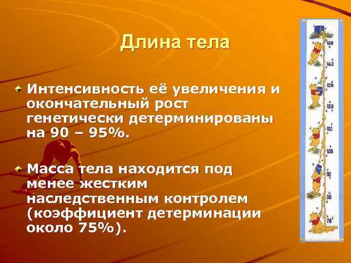 Длина тела Интенсивность её увеличения и окончательный рост генетически детерминированы на 90 – 95%.