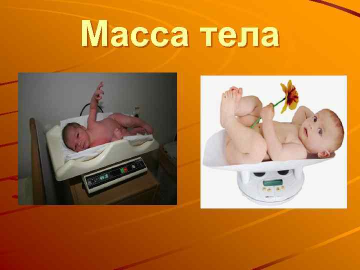 Масса тела 