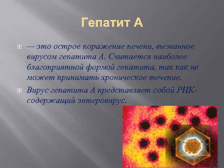 Гепатит кратко. Вирус гепатита в. Вирусы вызывающие гепатит. Гепатит а вызывается вирусом.