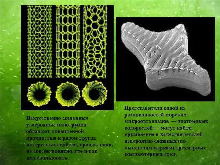 Искусственно созданные углеродные нанотрубки — обладают повышенной прочностью и рядом других интересных свойств, правда,