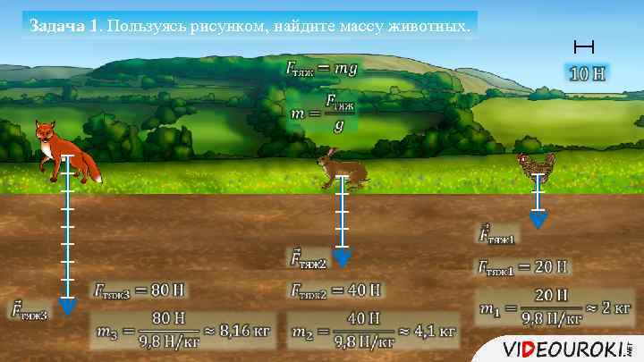 Задача 1. Пользуясь рисунком, найдите массу животных. 