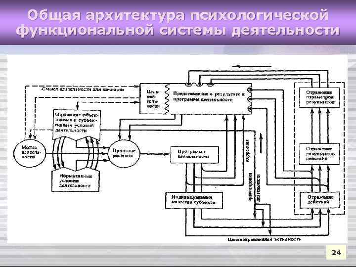 Общая архитектура психологической функциональной системы деятельности 24 
