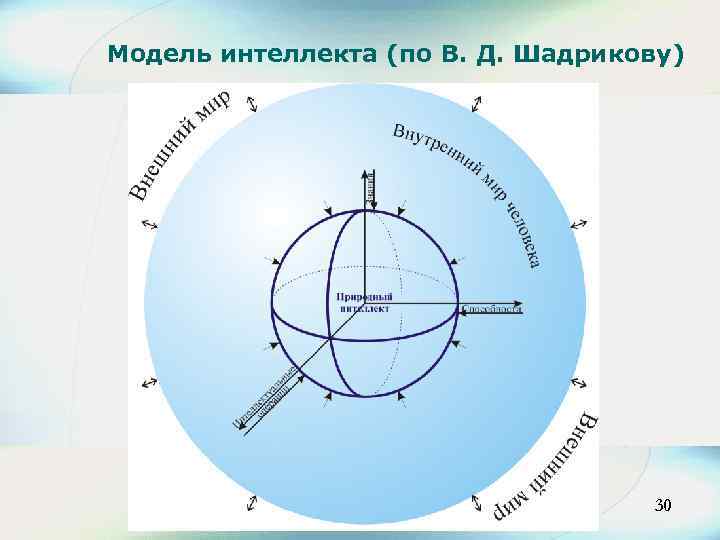 Модель интеллекта (по В. Д. Шадрикову) 30 