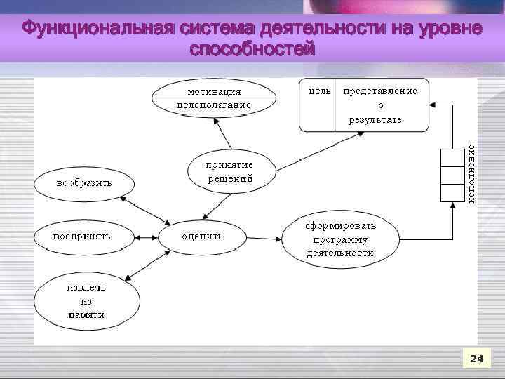Функциональная система деятельности на уровне способностей 24 