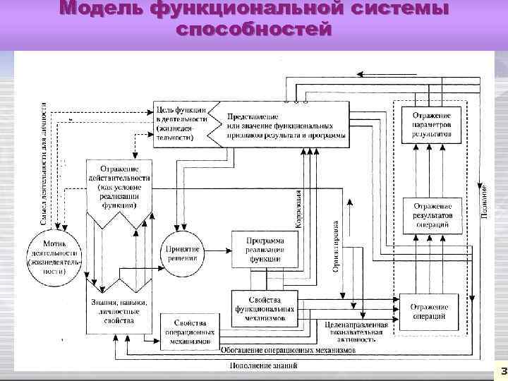 Модель функциональной системы способностей 38 