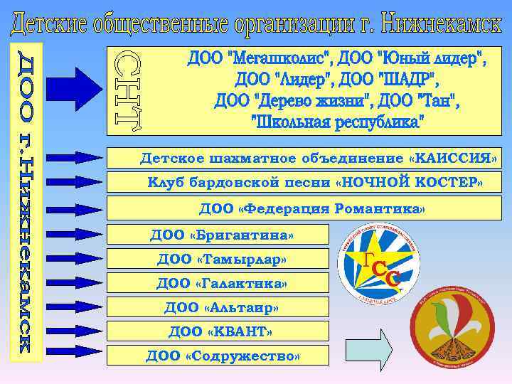 Детское шахматное объединение «КАИССИЯ» Клуб бардовской песни «НОЧНОЙ КОСТЕР» ДОО «Федерация Романтика» ДОО «Бригантина»