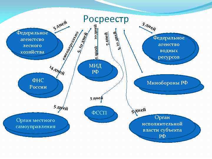 Схема организационной структуры росреестра