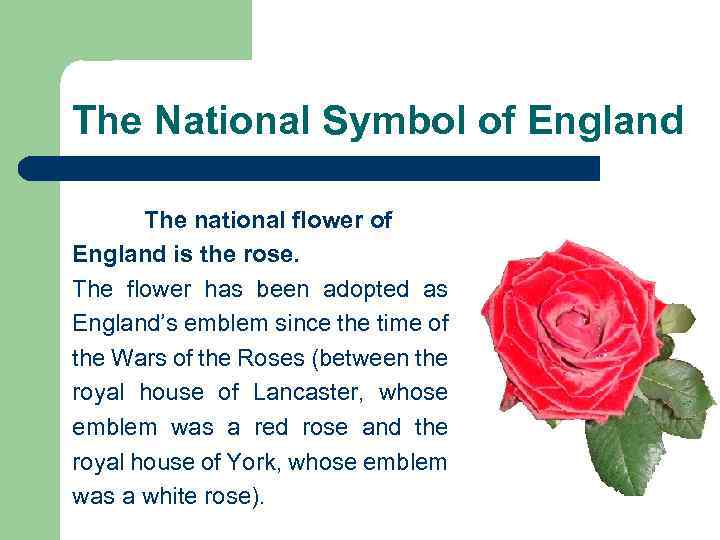 The National Symbol of England The national flower of England is the rose. The