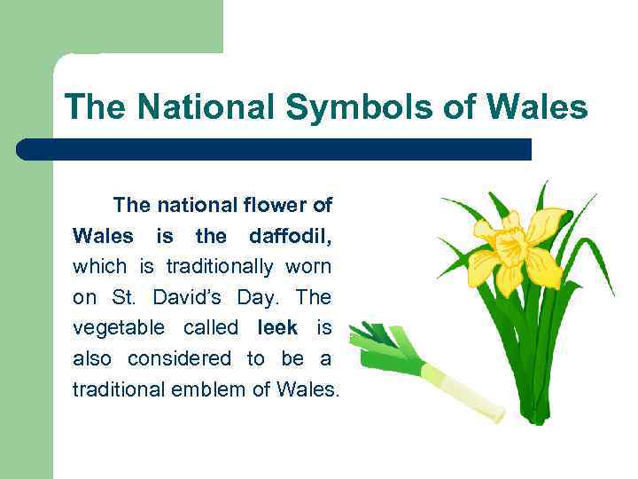 The National Symbols of Wales The national flower of Wales is the daffodil, which
