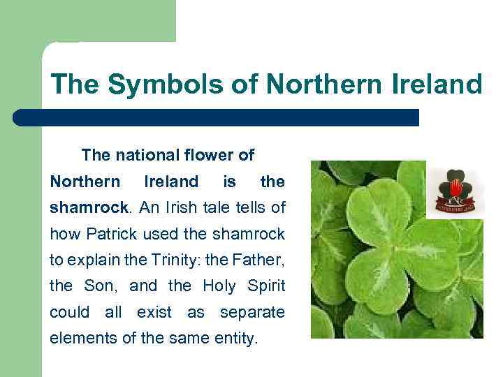 The Symbols of Northern Ireland The national flower of Northern Ireland is the shamrock.