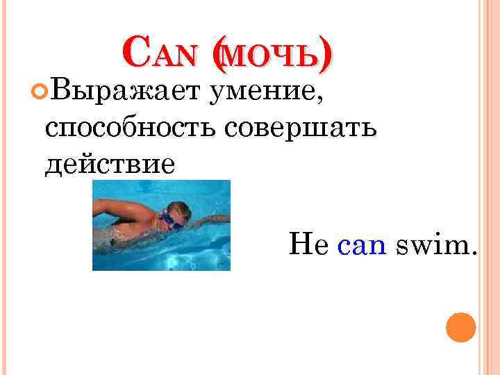 CAN ( МОЧЬ) Выражает умение, способность совершать действие He can swim. 