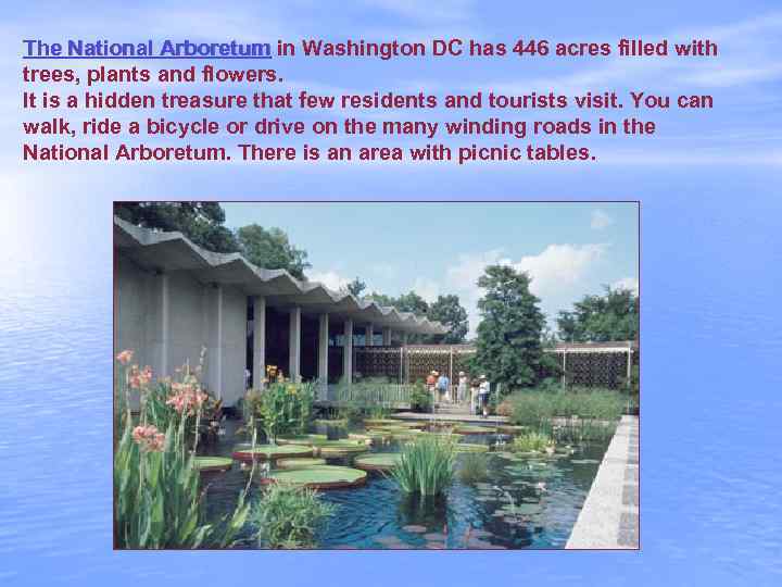 The National Arboretum in Washington DC has 446 acres filled with trees, plants and