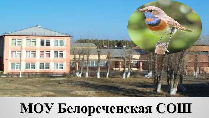 МОУ Белореченская СОШ 