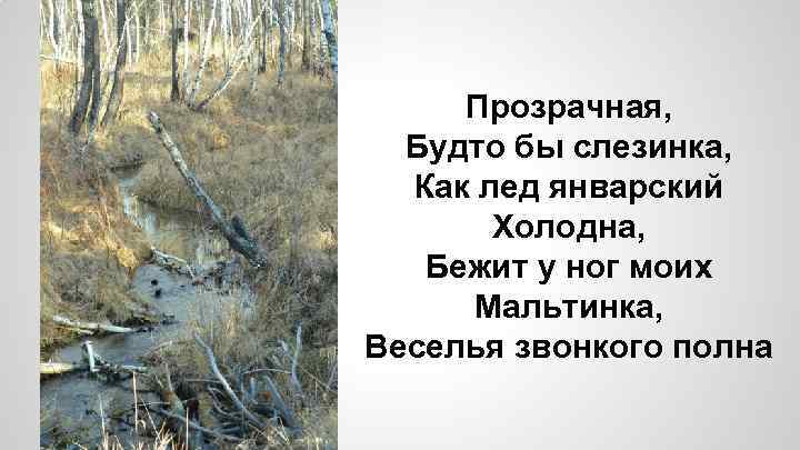 Прозрачная, Будто бы слезинка, Как лед январский Холодна, Бежит у ног моих Мальтинка, Веселья