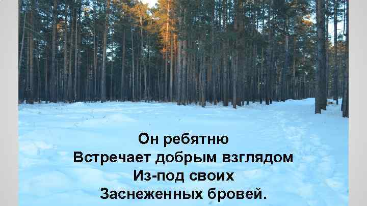 Он ребятню Встречает добрым взглядом Из-под своих Заснеженных бровей. 