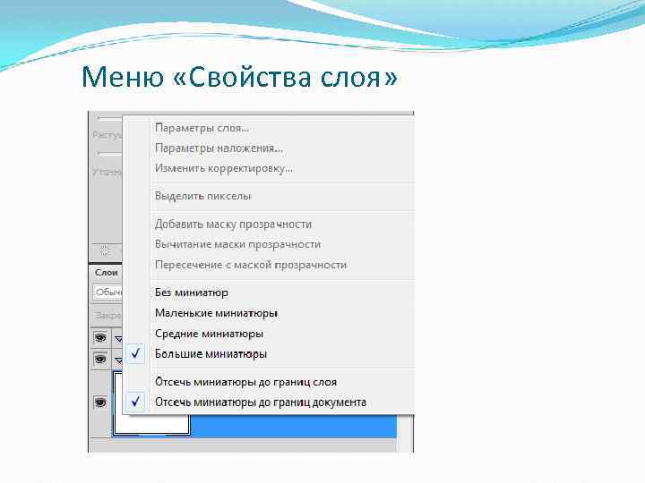 Меню «Свойства слоя» 
