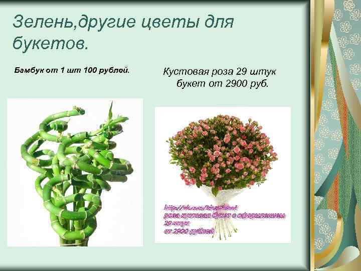Зелень, другие цветы для букетов. Бамбук от 1 шт 100 рублей. Кустовая роза 29