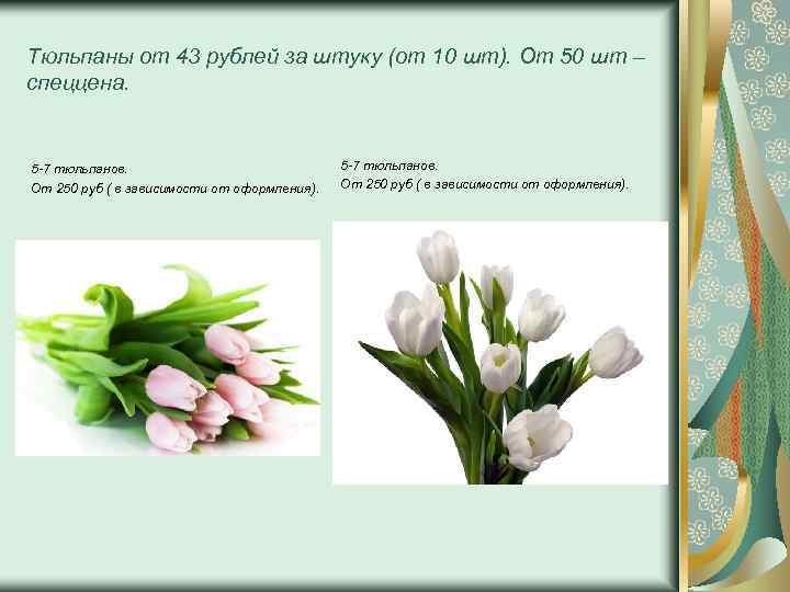 Тюльпаны от 43 рублей за штуку (от 10 шт). От 50 шт – спеццена.