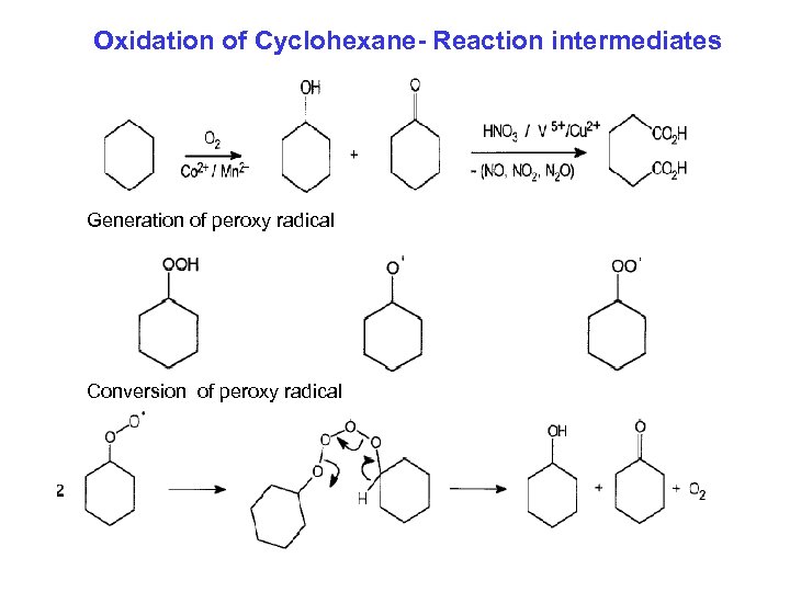 Oxidation of Cyclohexane- Reaction intermediates Generation of peroxy radical Conversion of peroxy radical 