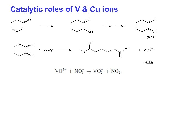 Catalytic roles of V & Cu ions 