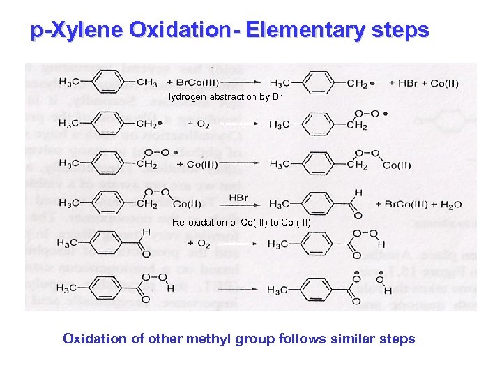 p-Xylene Oxidation- Elementary steps Hydrogen abstraction by Br Re-oxidation of Co( II) to Co