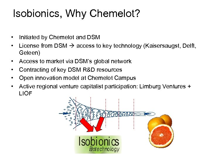 Isobionics, Why Chemelot? • Initiated by Chemelot and DSM • License from DSM access