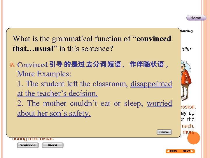 Before Reading Global Reading Detailed Reading After Reading What is the grammatical function of