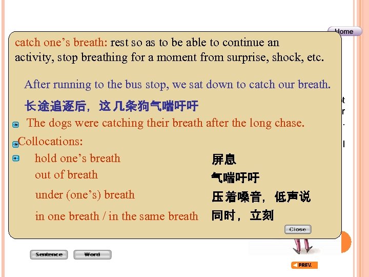 catch one’s breath: rest so as to be able to continue an Before Reading