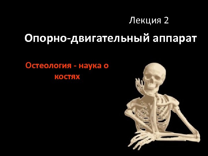 Лекция 2 Опорно-двигательный аппарат Остеология - наука о костях 