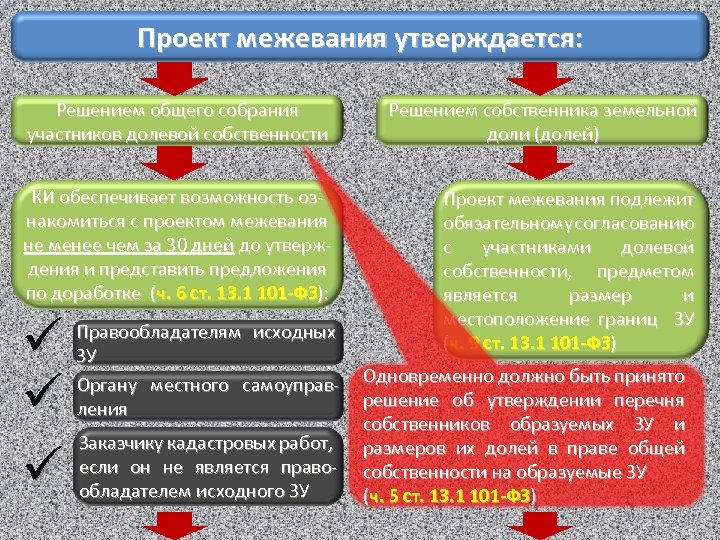 Проект межевания утверждается: Решением общего собрания участников долевой собственности Решением собственника земельной доли (долей)