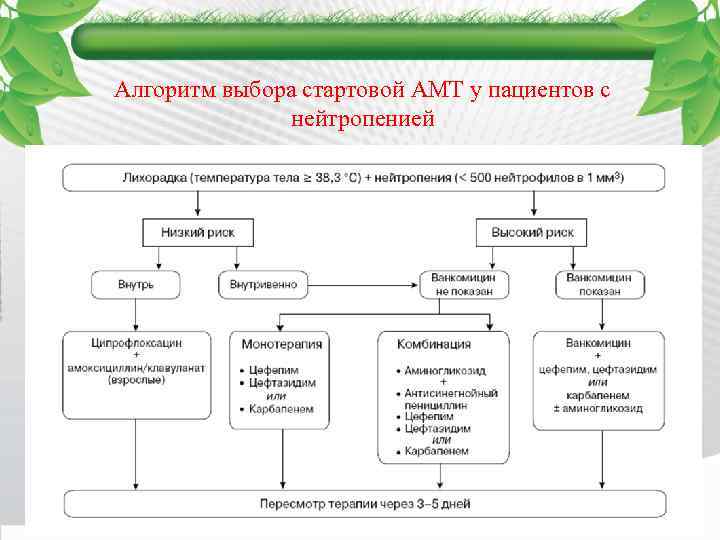 Алгоритм выбора стартовой АМТ у пациентов с нейтропенией 