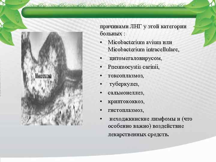 причинами ЛНГ у этой категории больных : • Micobacterium avium или Micobacterium intracellulare, •