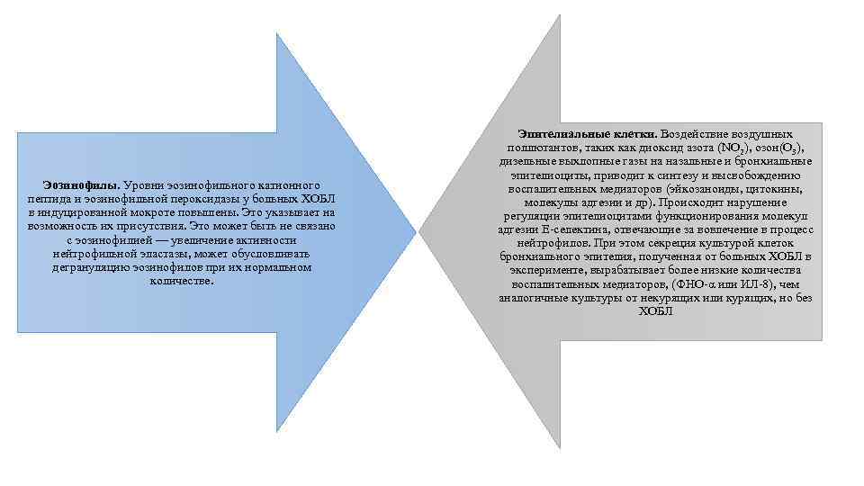 Эозинофилы. Уровни эозинофильного катионного пептида и эозинофильной пероксидазы у больных ХОБЛ в индуцированной мокроте