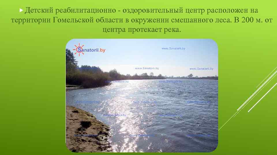  Детский реабилитационно - оздоровительный центр расположен на территории Гомельской области в окружении смешанного