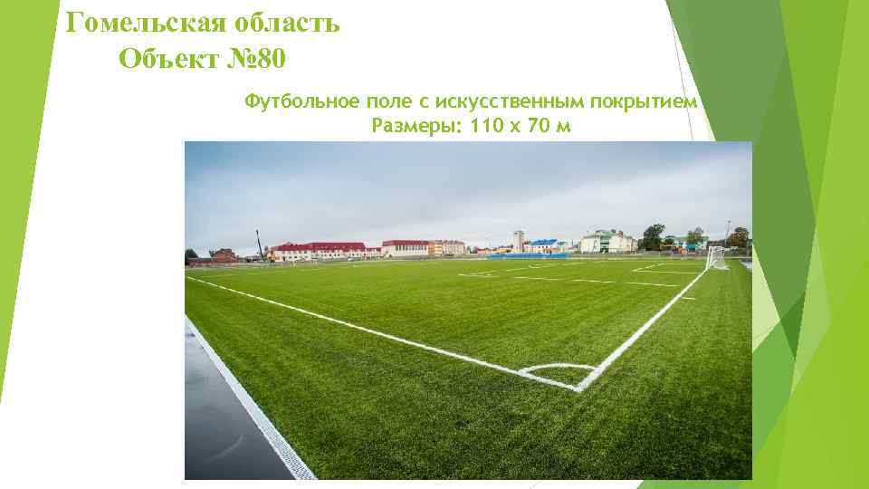 Гомельская область Объект № 80 Футбольное поле с искусственным покрытием Размеры: 110 х 70