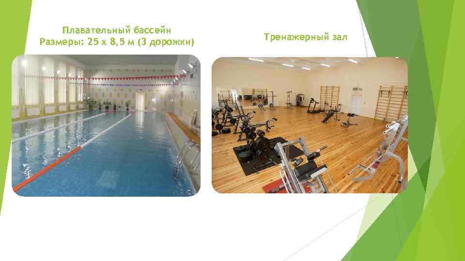 Плавательный бассейн Размеры: 25 х 8, 5 м (3 дорожки) Тренажерный зал 