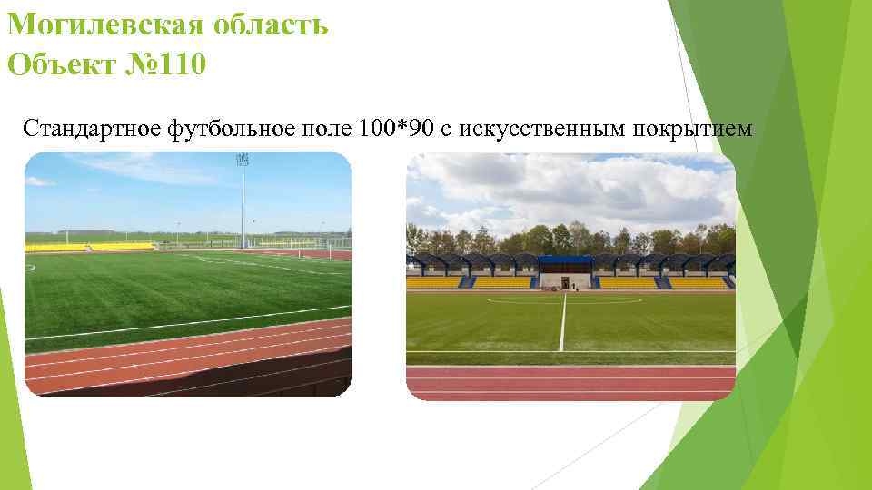 Могилевская область Объект № 110 Стандартное футбольное поле 100*90 с искусственным покрытием 