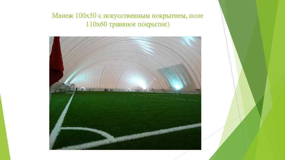 Манеж 100 х50 с искусственным покрытием, поле 110 х60 травяное покрытие) 