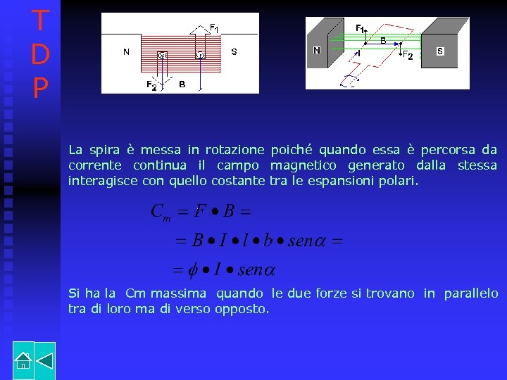 T D P La spira è messa in rotazione poiché quando essa è percorsa