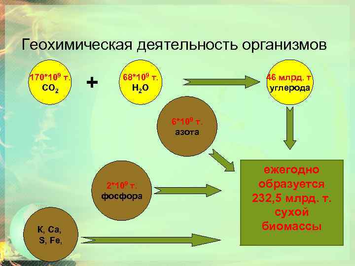 Структура биосферы 9 класс презентация