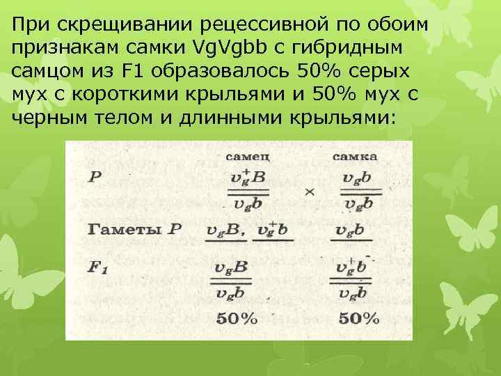 При скрещивании рецессивной по обоим признакам самки Vg. Vgbb с гибридным самцом из F