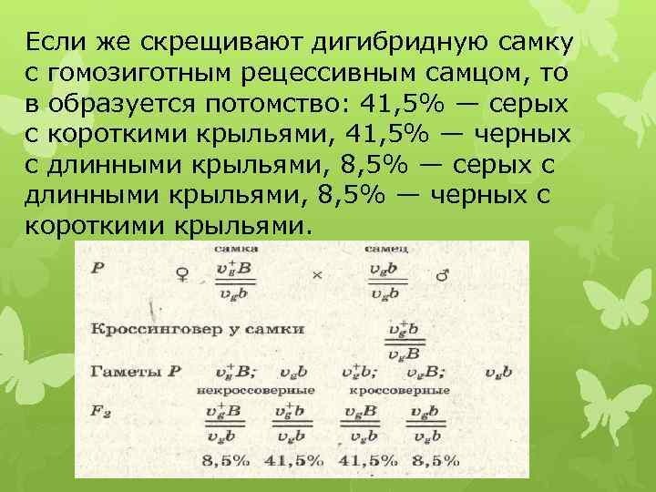 Если же скрещивают дигибридную самку с гомозиготным рецессивным самцом, то в образуется потомство: 41,