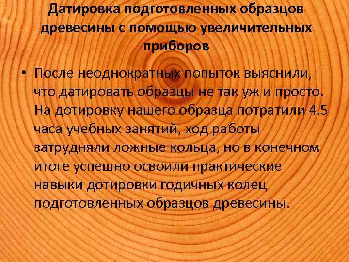 Датировка подготовленных образцов древесины c помощью увеличительных приборов • После неоднократных попыток выяснили, что