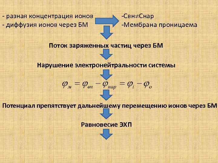 - разная концентрация ионов - диффузия ионов через БМ -Свн Снар -Мембрана проницаема Поток