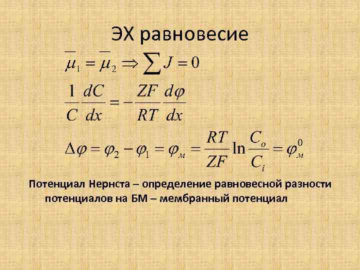 ЭХ равновесие Потенциал Нернста – определение равновесной разности потенциалов на БМ – мембранный потенциал