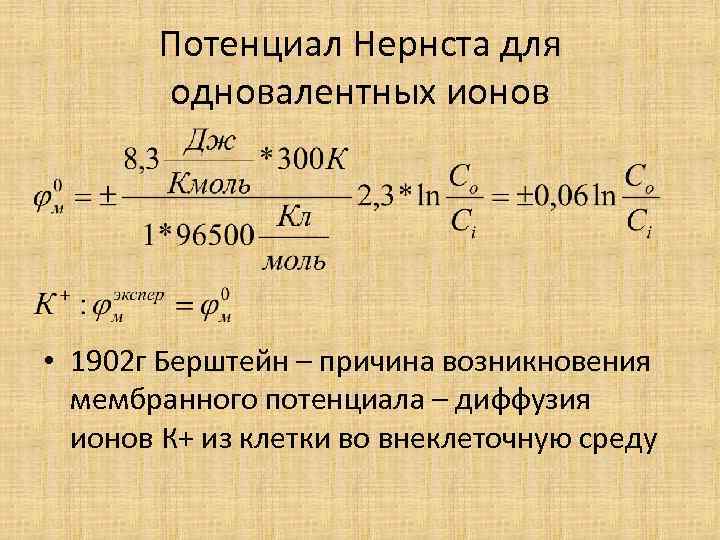 Потенциал Нернста для одновалентных ионов • 1902 г Берштейн – причина возникновения мембранного потенциала
